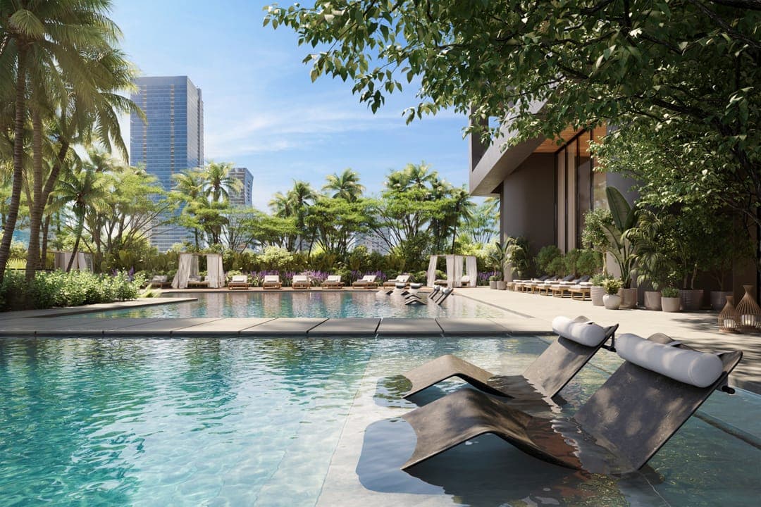 The 9th floor pool, framed by palms and the skyline