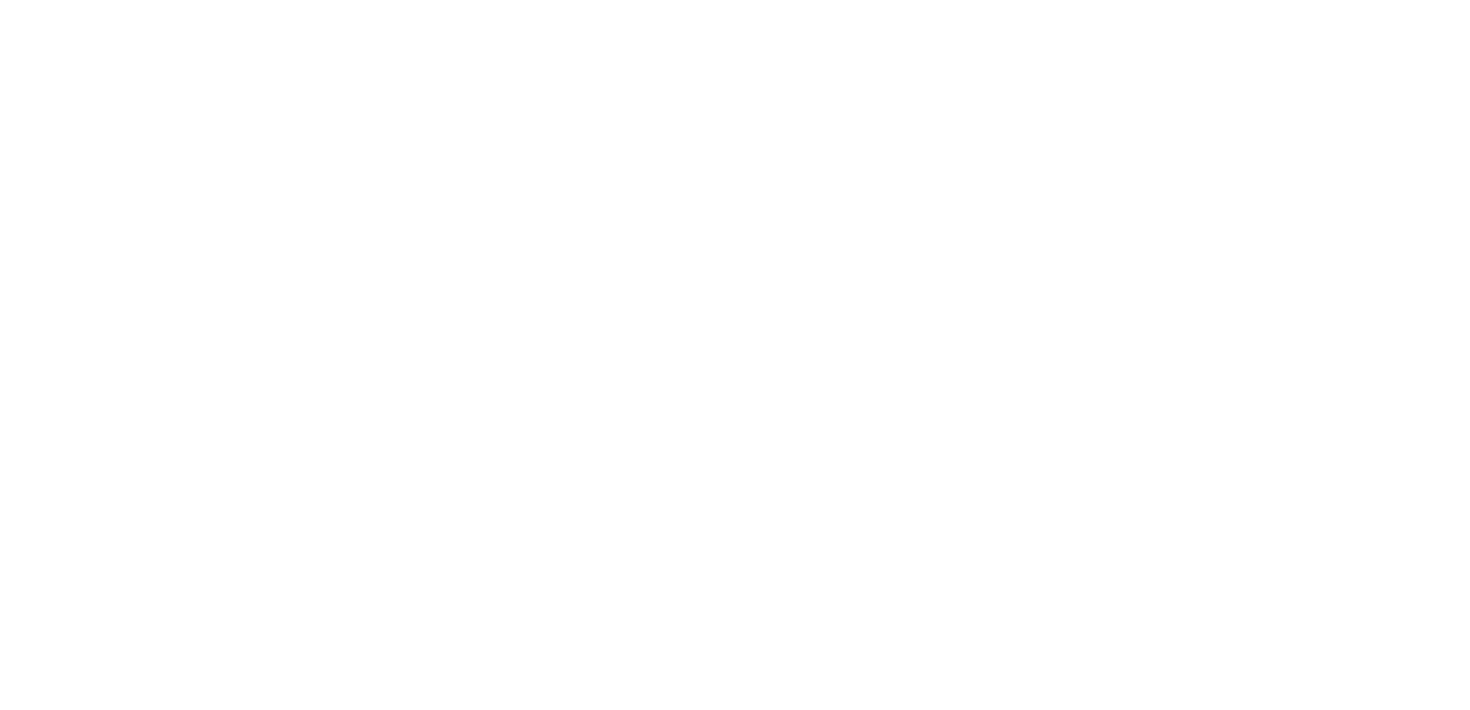 Fortune International Group